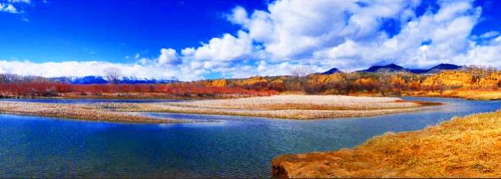 Colorado River Fishing Report