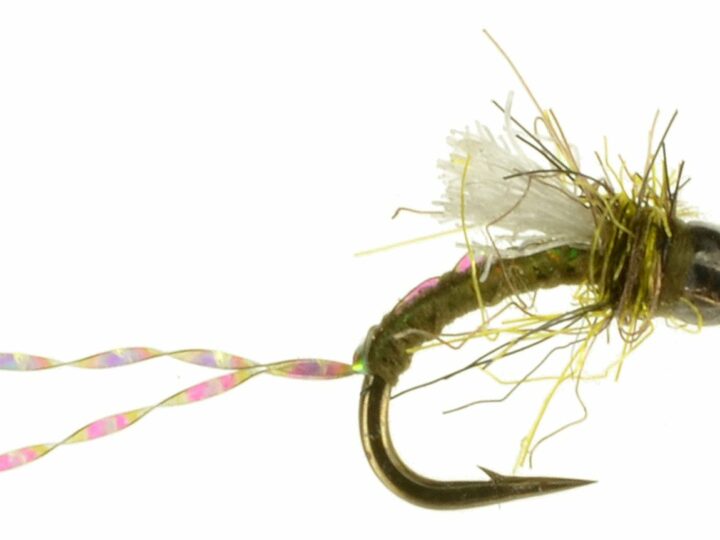 Crystal River Fishing Report