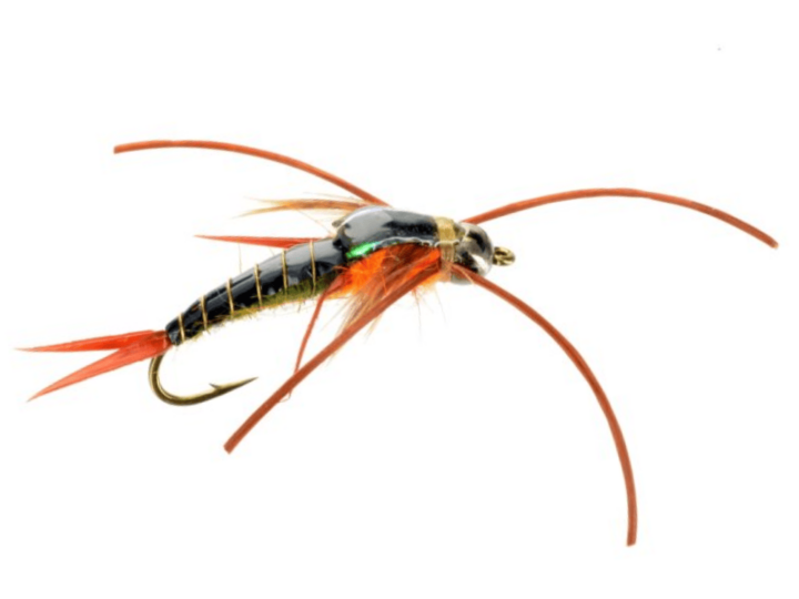 Roaring Fork River Report