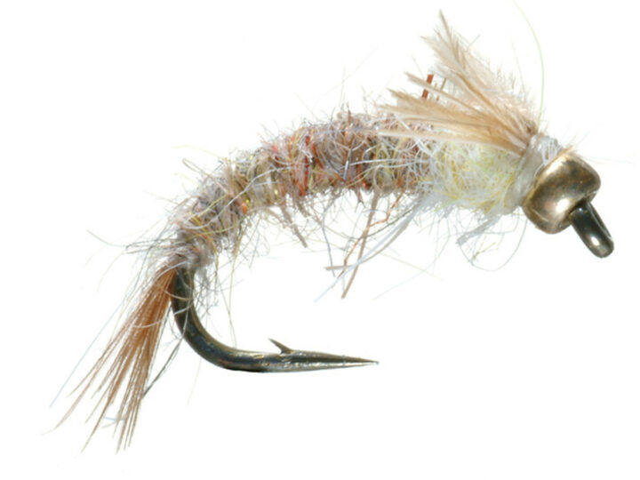 Roaring Fork River Fishing Report