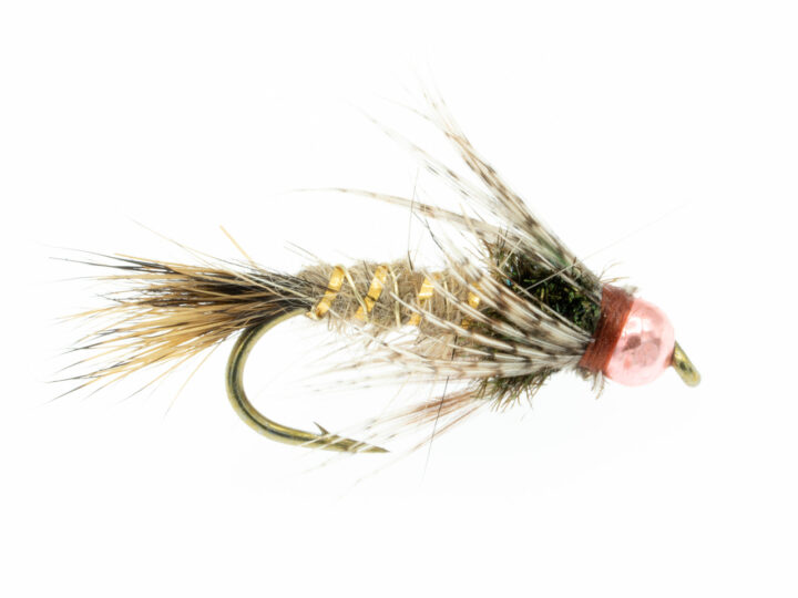 Roaring Fork River Fishing Report