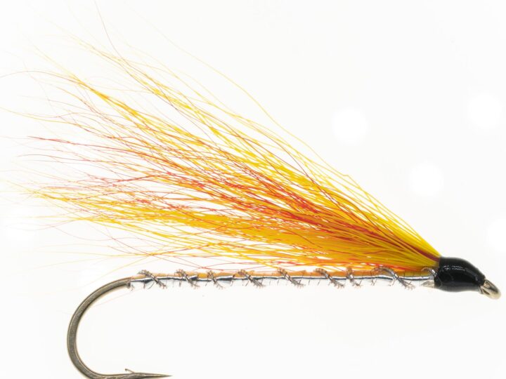Crystal River Fishing Report