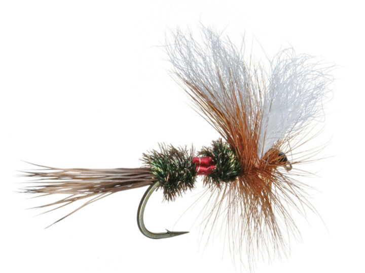 Roaring Fork River Fishing Report