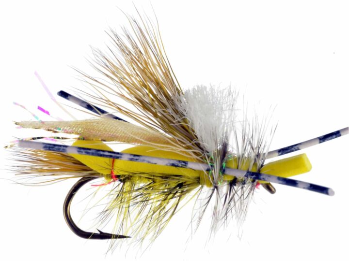 Crystal River Fishing Report