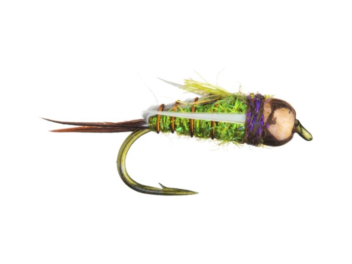 Roaring Fork River Fishing Report