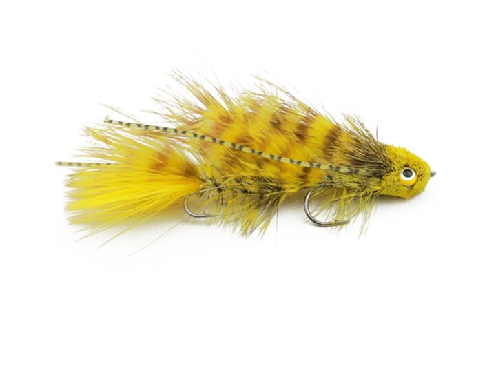 Roaring Fork River Fishing Report