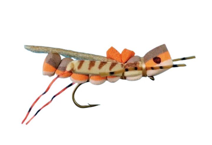 Crystal River Fishing Report